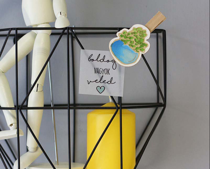 Pozsgásos csipeszek