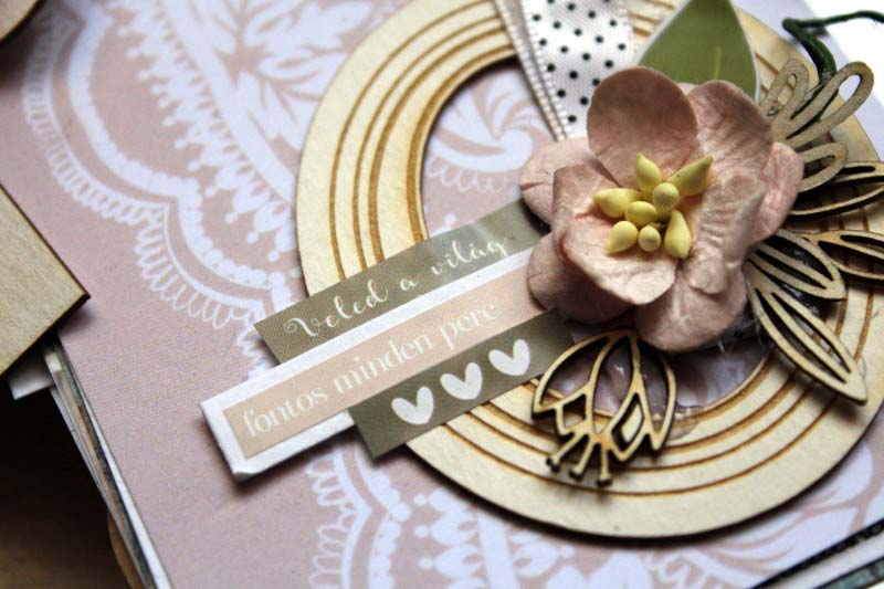 Randi album nászajándékba