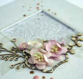 Esküvői album “5.1”